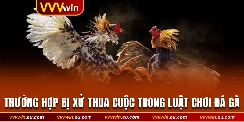 Các trường hợp bị xử thua cuộc trong luật chơi đá gà
