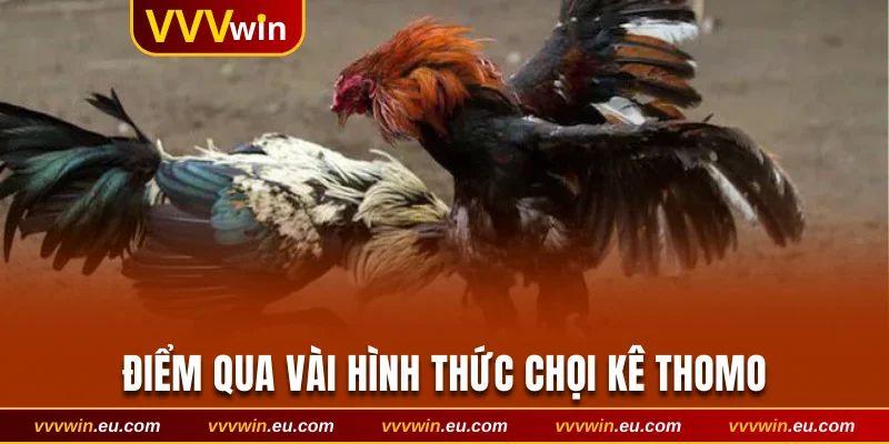 Điểm qua vài hình thức chọi kê Thomo
