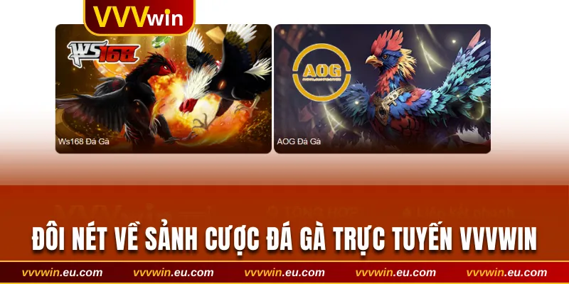 Đôi nét về sảnh cược đá gà trực tuyến VVVwin
