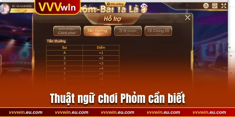 Thuật ngữ quan trọng để bạn làm chủ Tá lả