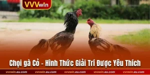 Chọi Gà Cỏ Là Gì? Siêu Phẩm Giải Trí Được Yêu Thích Nhất