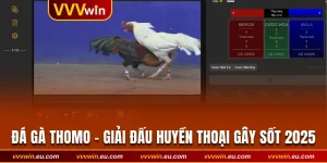 Đá Gà Thomo - Giải Đấu Huyền Thoại Gây Sốt Nhất 2025