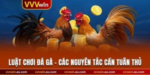 Luật Chơi Đá Gà - Phân Tích Các Nguyên Tắc Cần Tuân Thủ